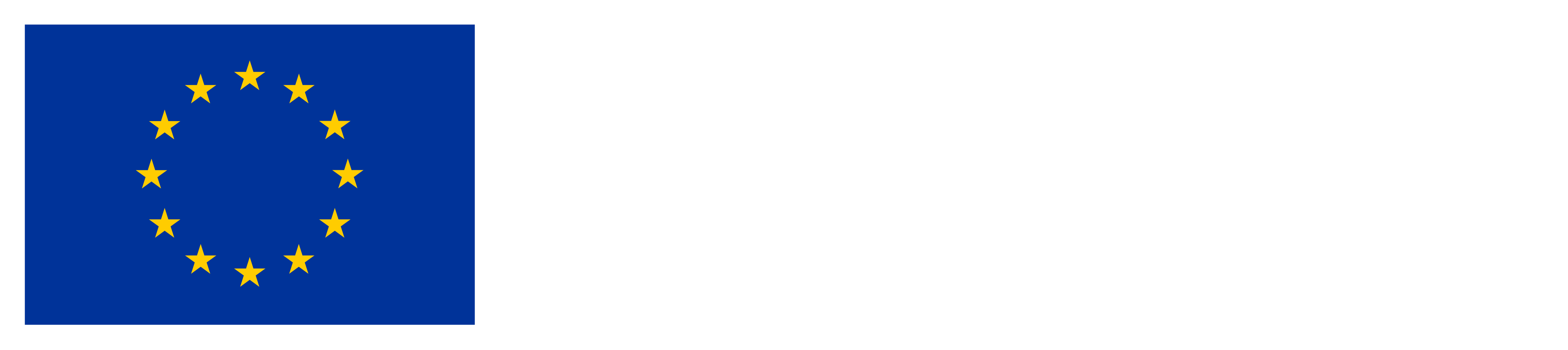 Euroopan unionin osarahoittama